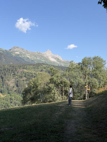 A person stands on a grassy path, gazing at the majestic, tree-covered mountains under a clear blue sky with scattered clouds